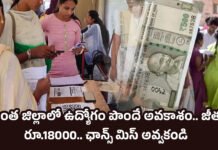 Local Jobs: సొంత జిల్లాలో ఉద్యోగం పొందే అవకాశం.. జీతం రూ.18000.. ఛాన్స్ మిస్ అవ్వకండి Local Jobs